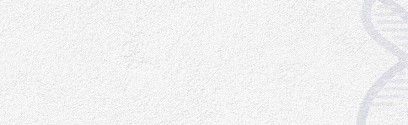 Encabezado Calendario 2026